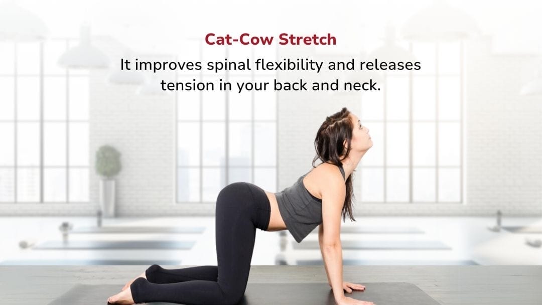 Cat-Cow Stretch Release the Tension! One of the best Stretches.